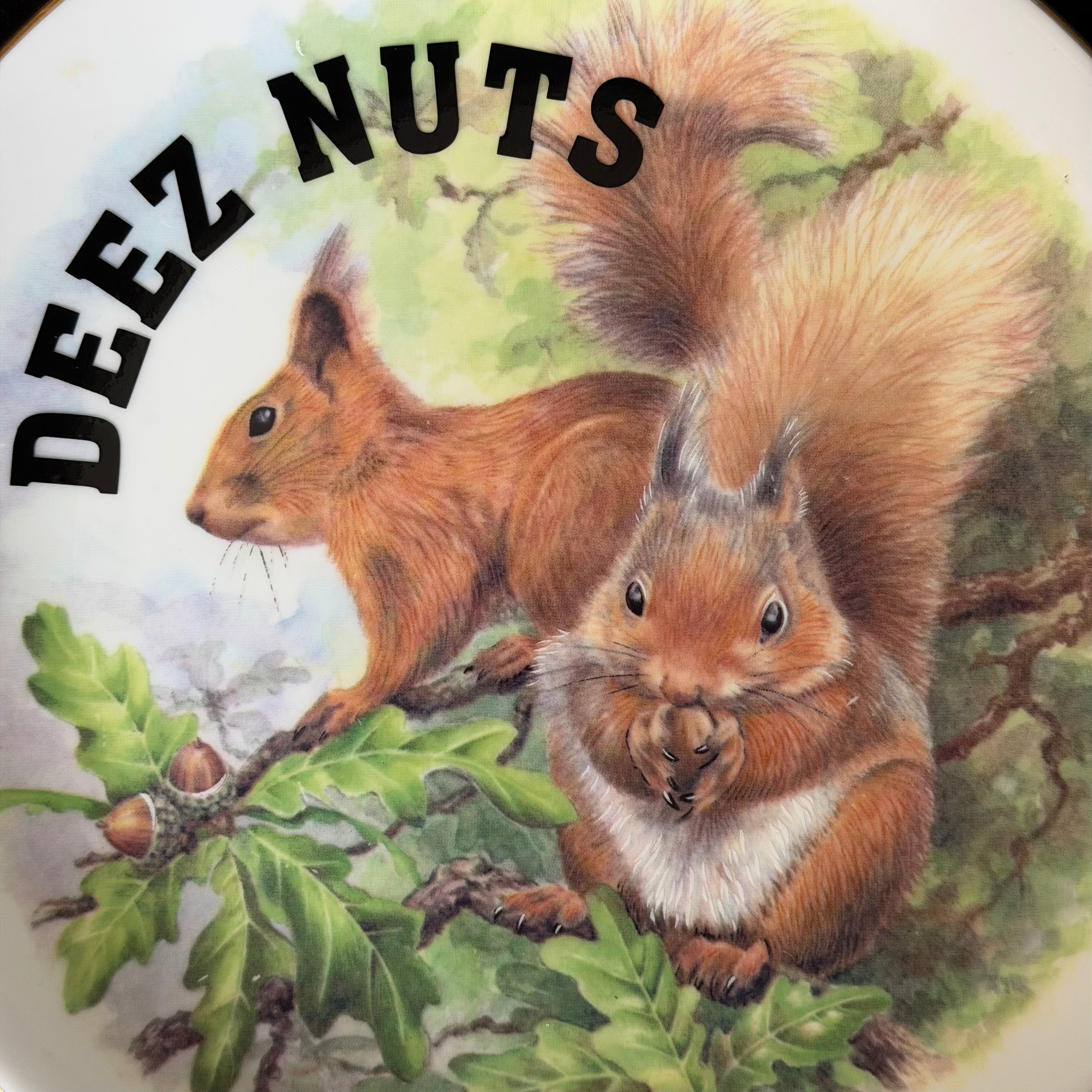 Deez Nuts Squirrel Plate, Funny Rude Decor, Cheeky Gift Idea, Woodland Humour, Statement Home Decor, Sassy Swears