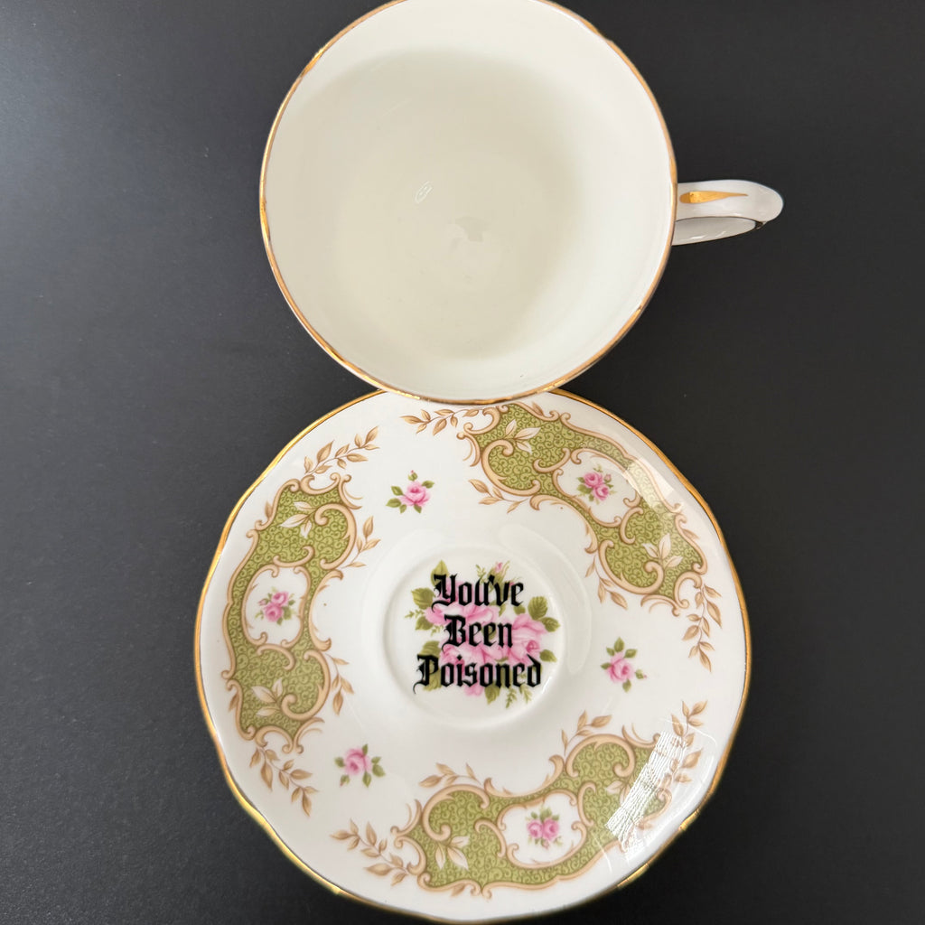 Drink up, You've Been Poisoned, Funny Vintage Bone China Cup & Saucer, Hand Decorated Sweary Tea Cup, Dark Humour Home Decor