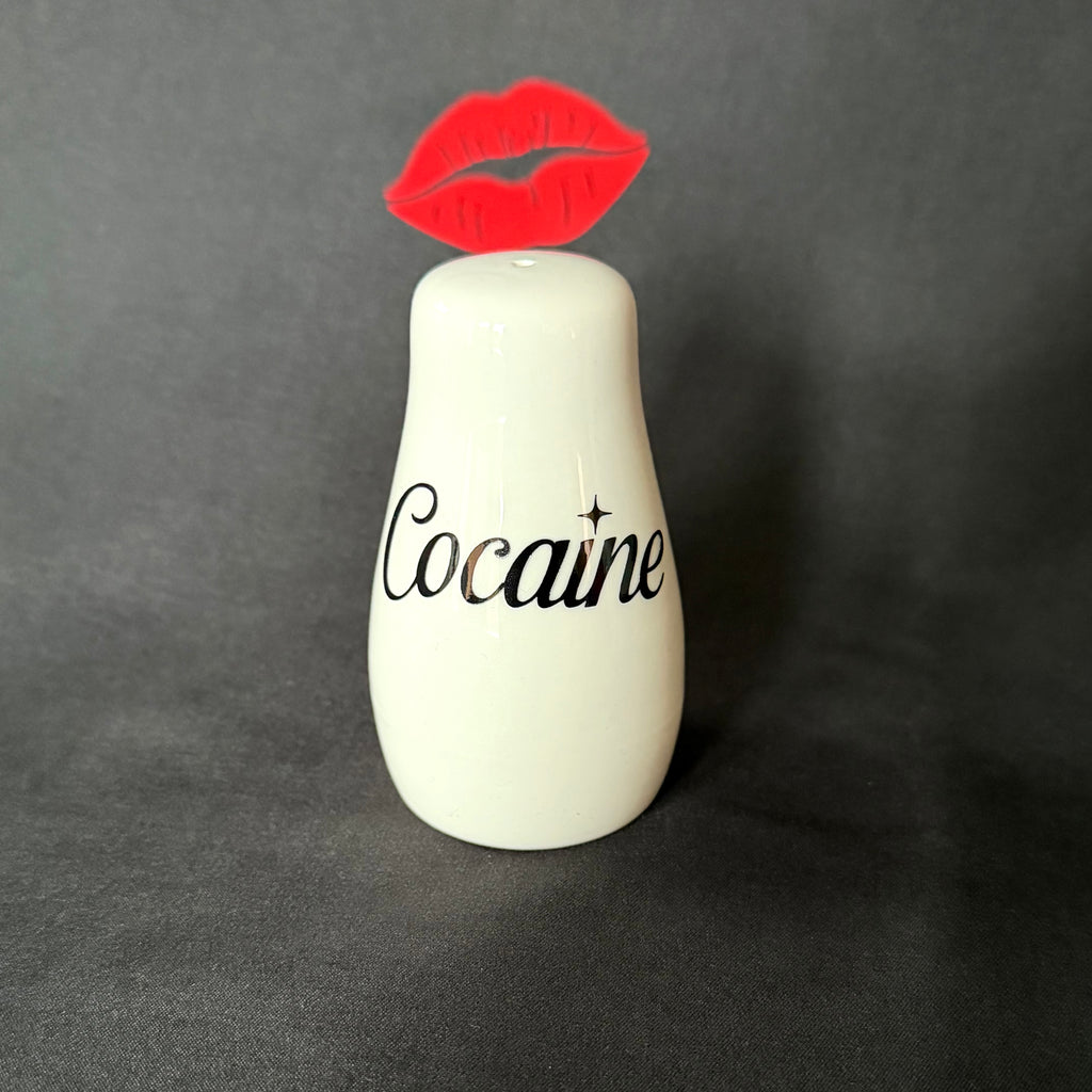 Cheeky Cocaine & Heroin Salt and Pepper Shakers, Funny Sweary Kitchen Decor Gift