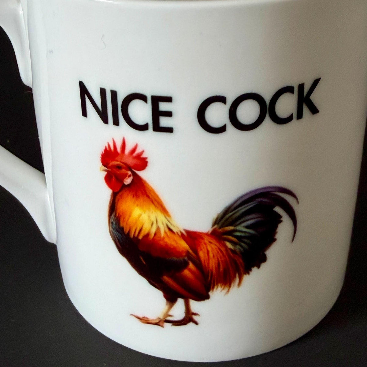 Nice Cock Rude Funny Gift 10oz China Mug Birthday Christmas Secret Santa Gift
