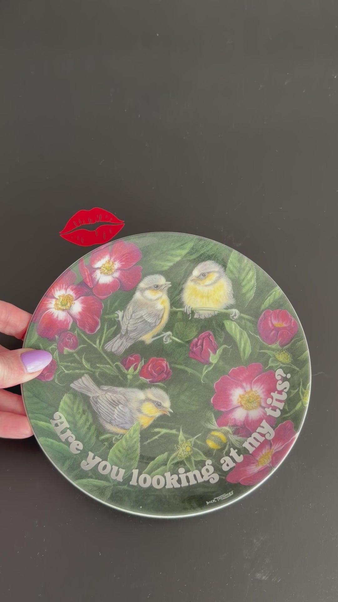 Vintage Wedgwood Blue Tits Plate, Are You Looking At My Tits? Cheeky Bird Plate