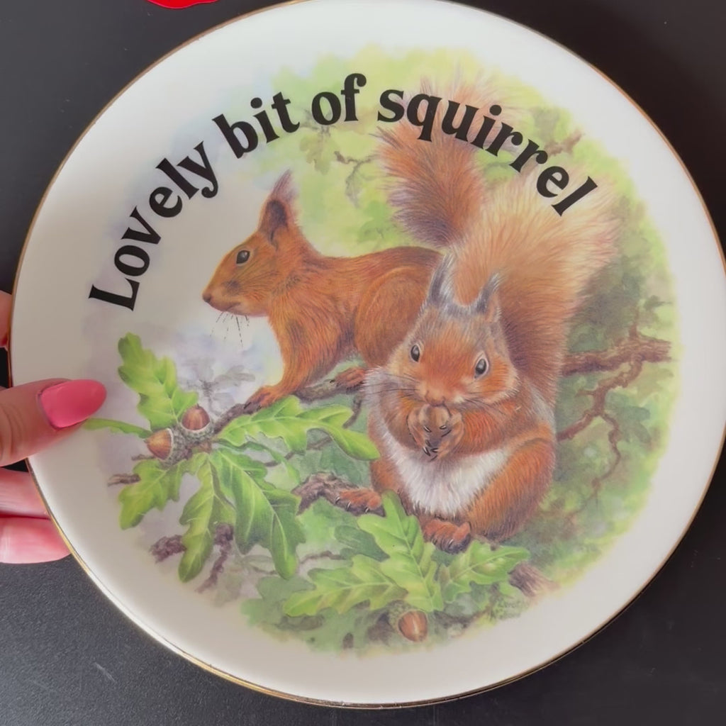 Lovely Bit Of Squirrel, Fine Bone China Wall Plaque, Funny Squirrel Gift, Nicholas John Decorative Plate