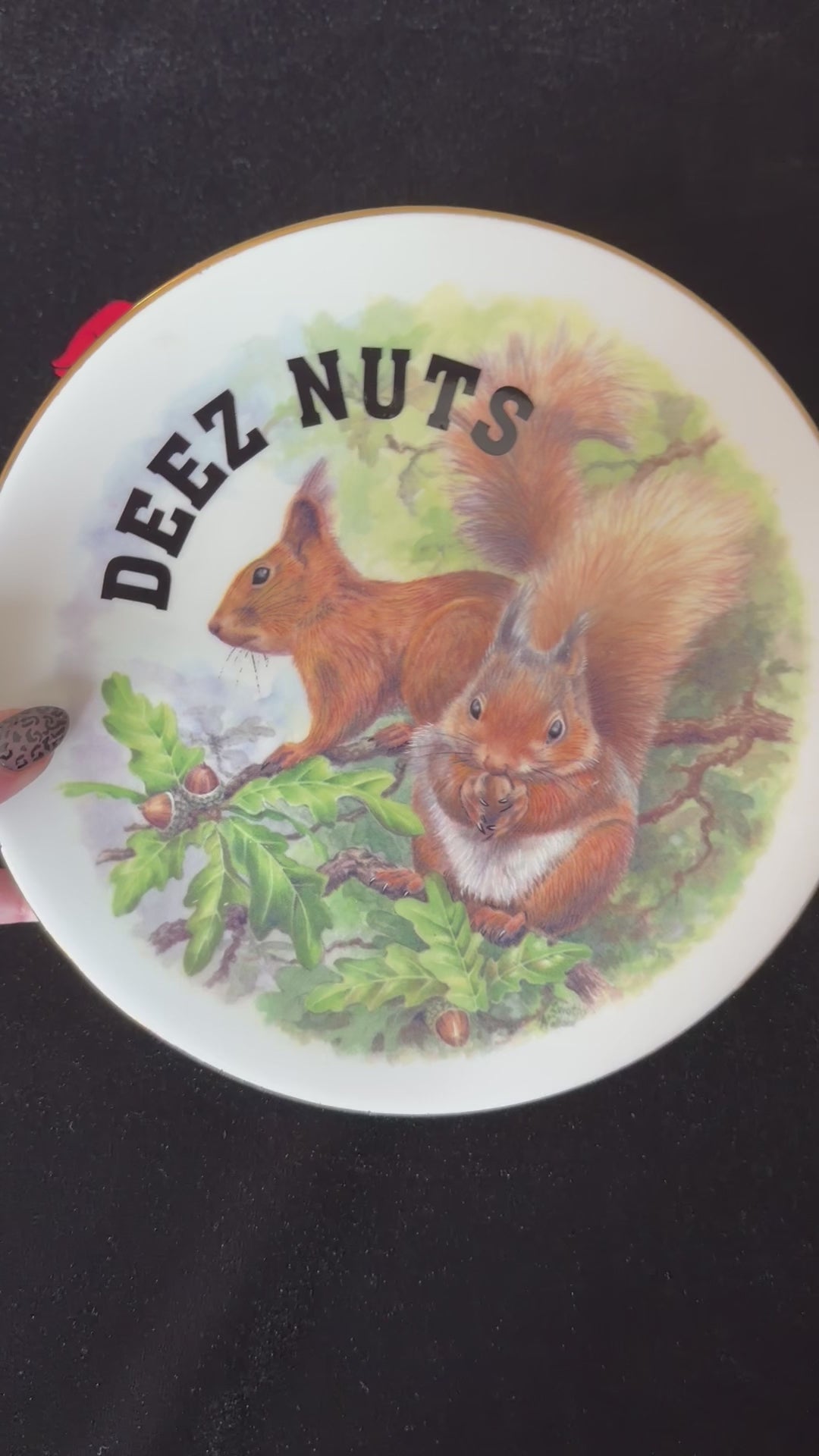 Deez Nuts Squirrel Plate, Funny Rude Decor, Cheeky Gift Idea, Woodland Humour, Statement Home Decor, Sassy Swears