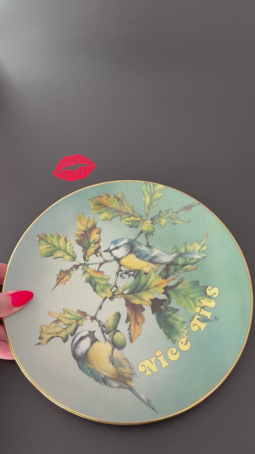 Nice Tits, Hand Decorated Vintage Porcelain Blue Tit Plate, Decorative Gift, Home Decor